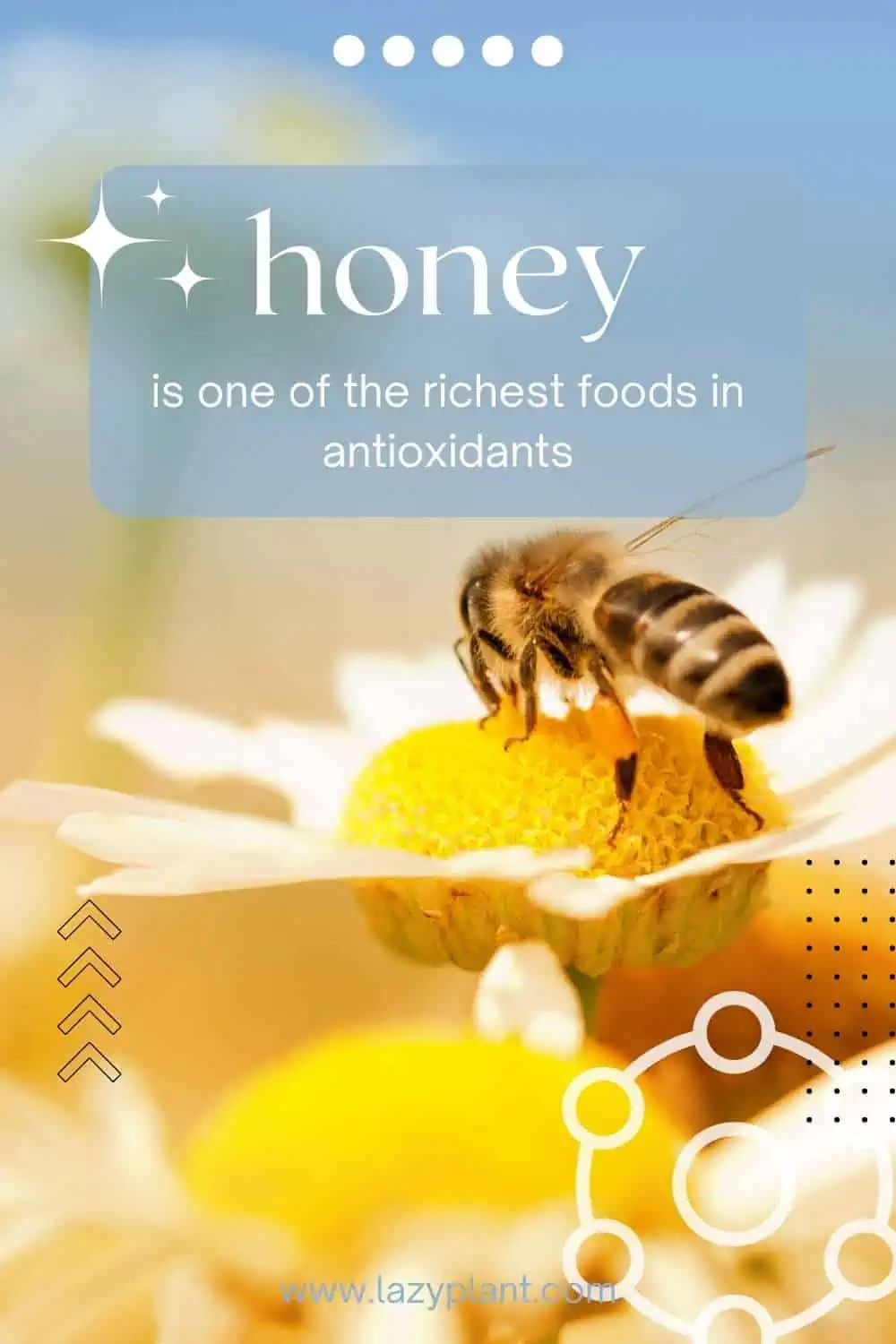 Honey has more than 200 polyphenol compounds!