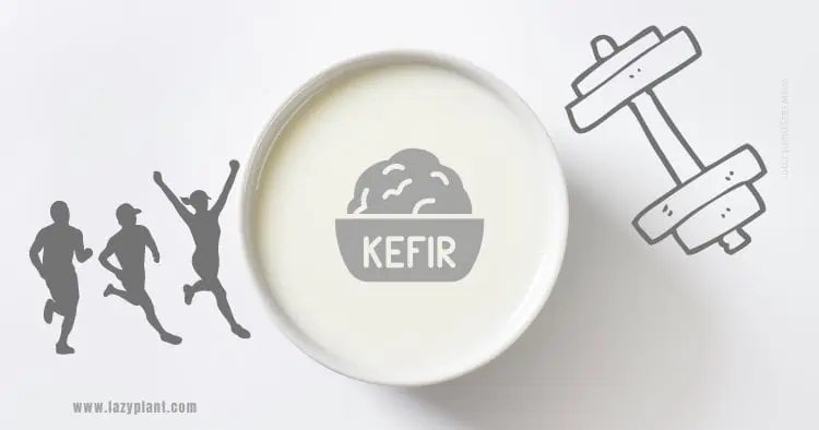 Benefits of kefir for athletes of bodybuilding and endurance athletes.