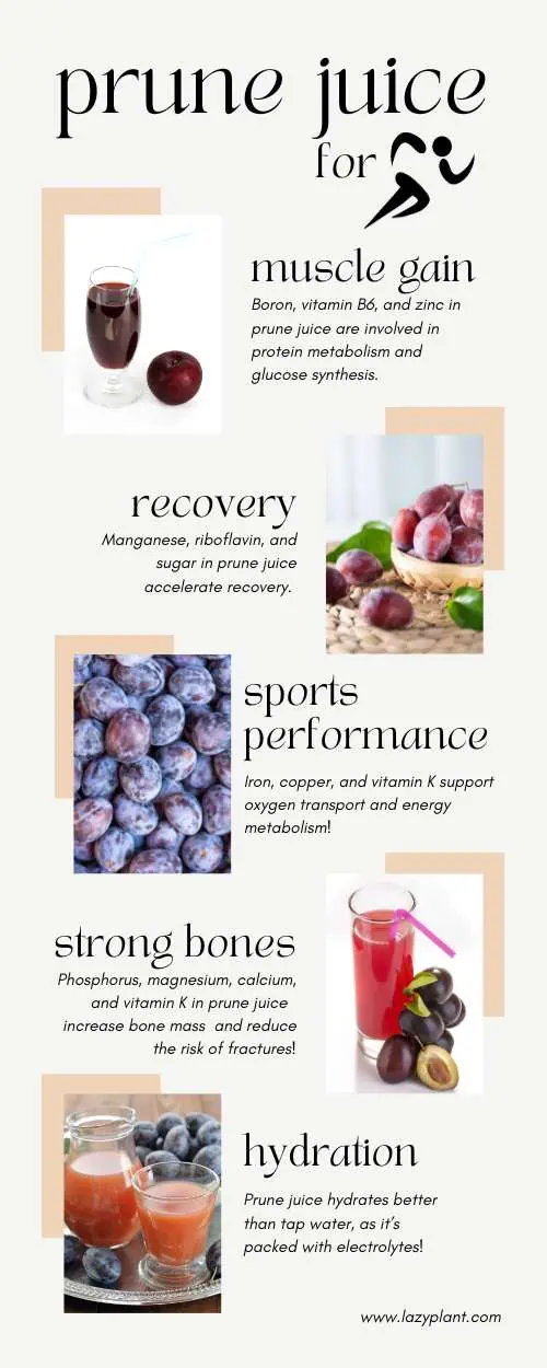 Benefits of drinking a cup of prune juice after exercise for sports performance. | Infographics
