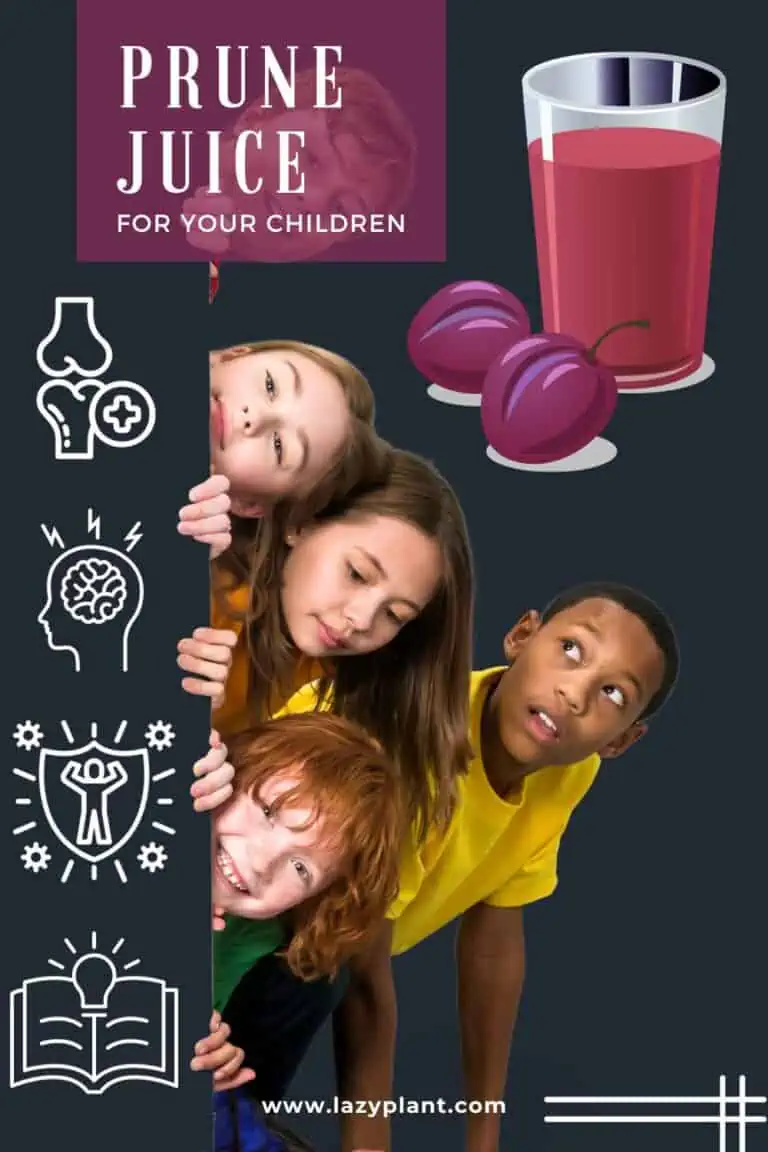 Benefits of prune juice for toddlers, kids & teens LazyPlant