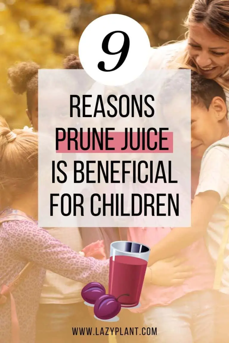 Benefits of prune juice for toddlers, kids & teens LazyPlant