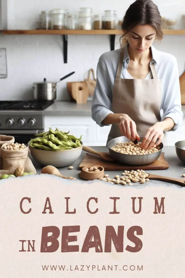 Beans are among the richest Vegan foods in Calcium LazyPlant