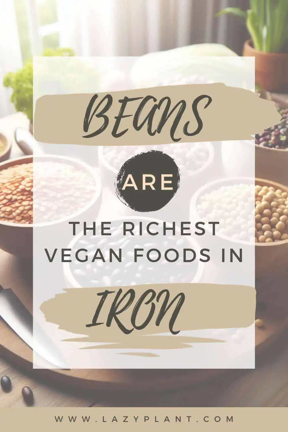 The Iron content of beans.