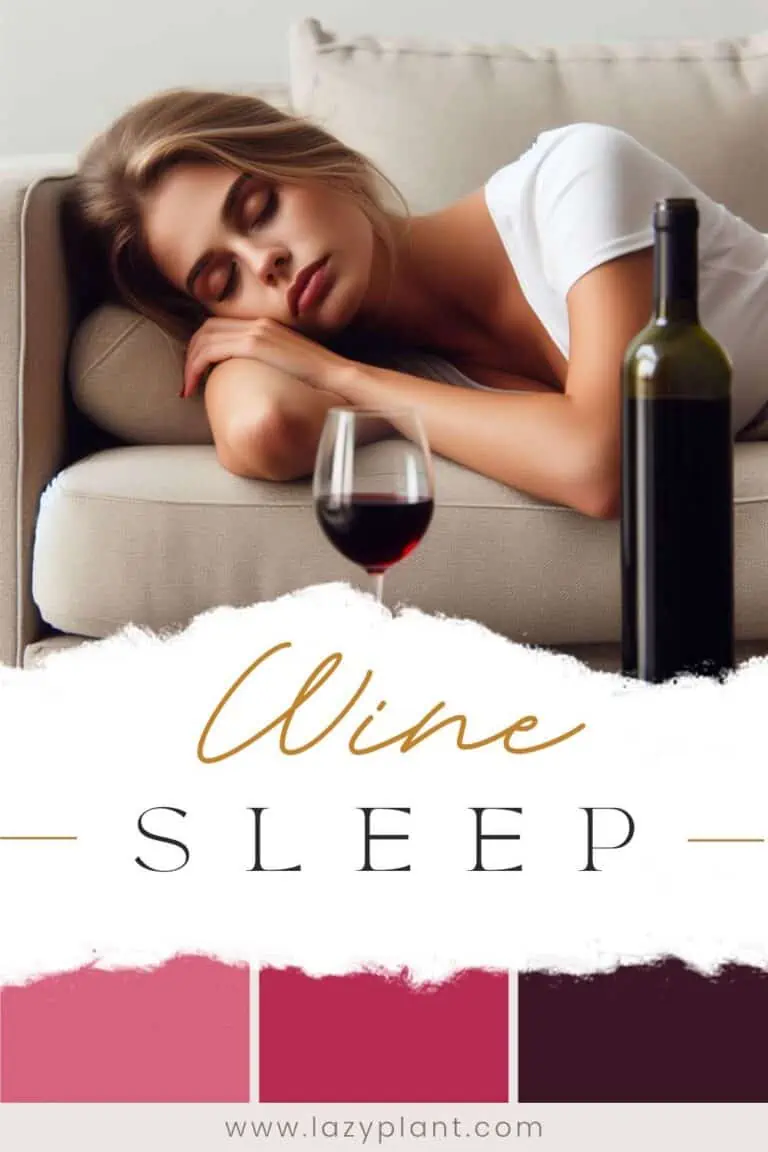 Best red wine to drink before bed to help you sleep LazyPlant