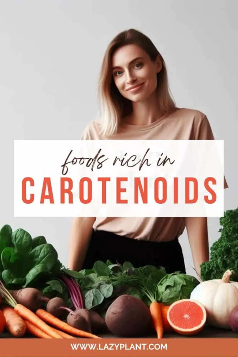 Foods rich in carotenoids LazyPlant