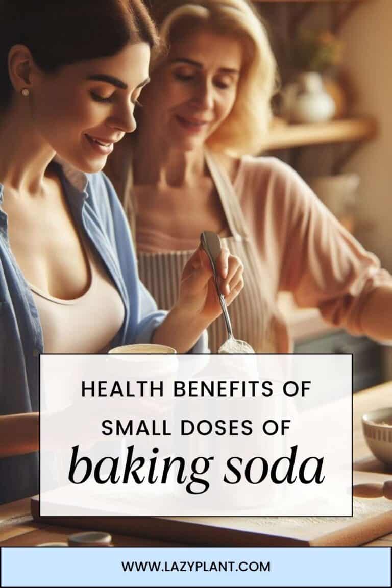 How Much Baking Soda Is It Safe To Drink Daily LazyPlant How Much Baking Soda Is It Safe To Drink Daily LazyPlant