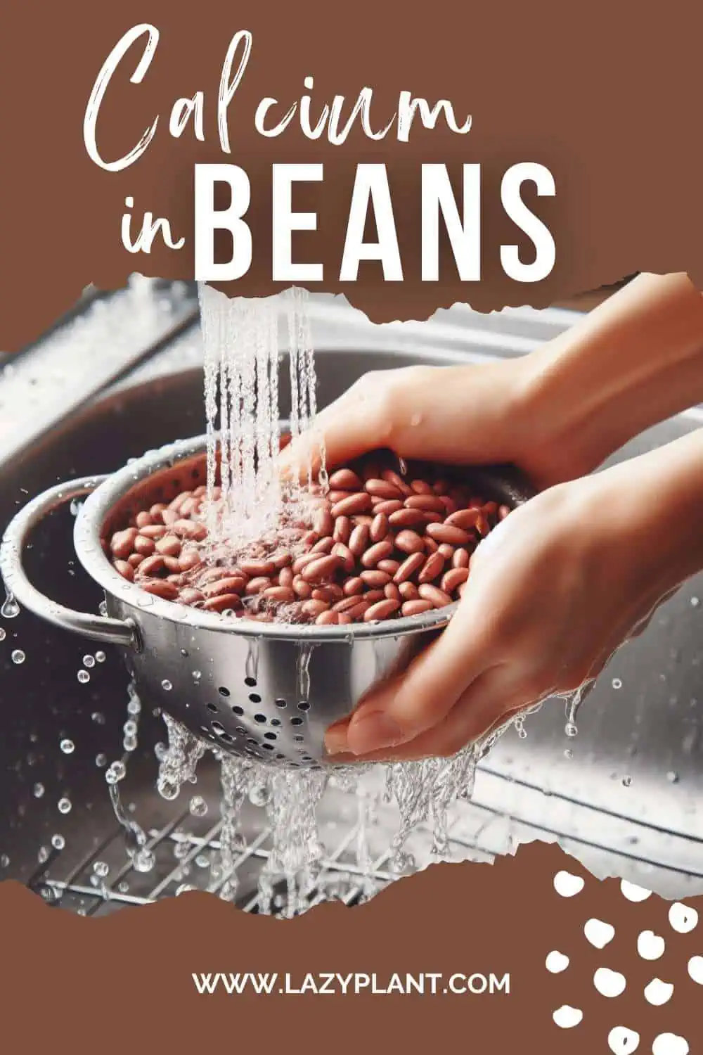 How much calcium in beans?