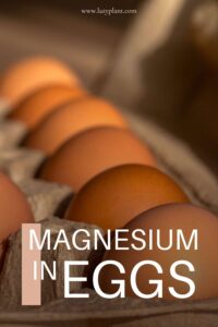 How much magnesium in eggs? - LazyPlant