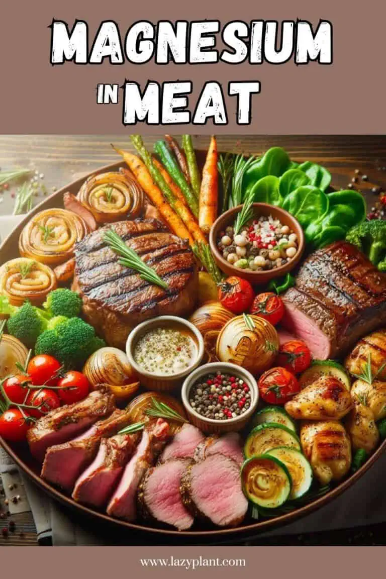 Magnesium in beef, chicken, pork & other meats LazyPlant