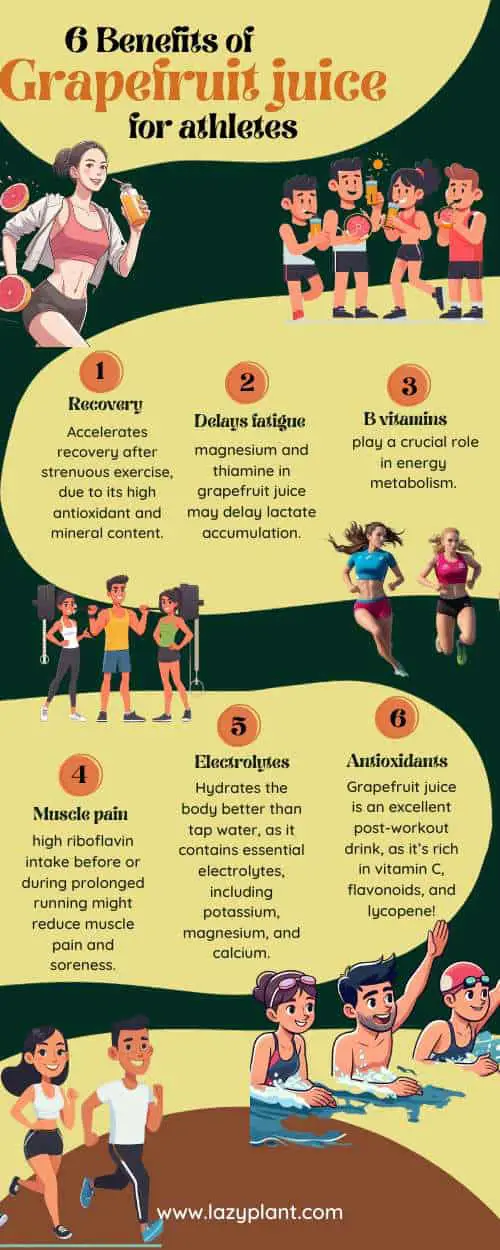 For athletes, grapefruit juice offers advantages in recovery, sports performance, and muscle growth. Infographics