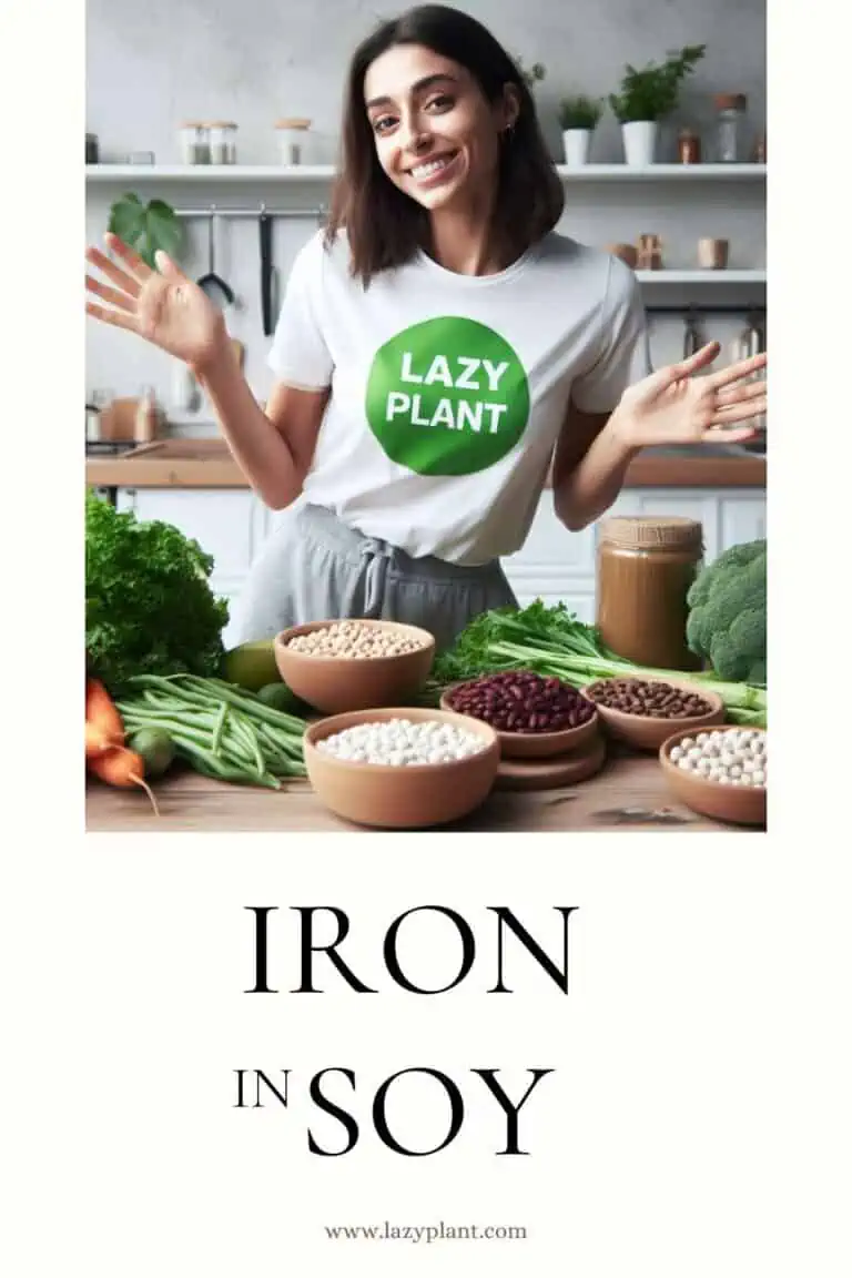 Iron in soy milk, soybeans & other soy foods LazyPlant