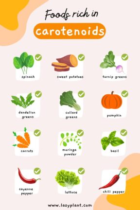 Foods rich in carotenoids - LazyPlant