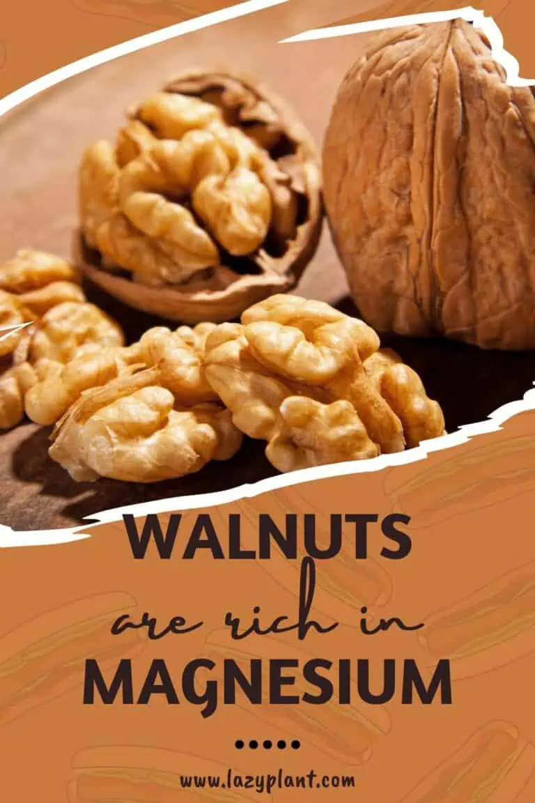 Walnuts have more Magnesium than other nuts LazyPlant