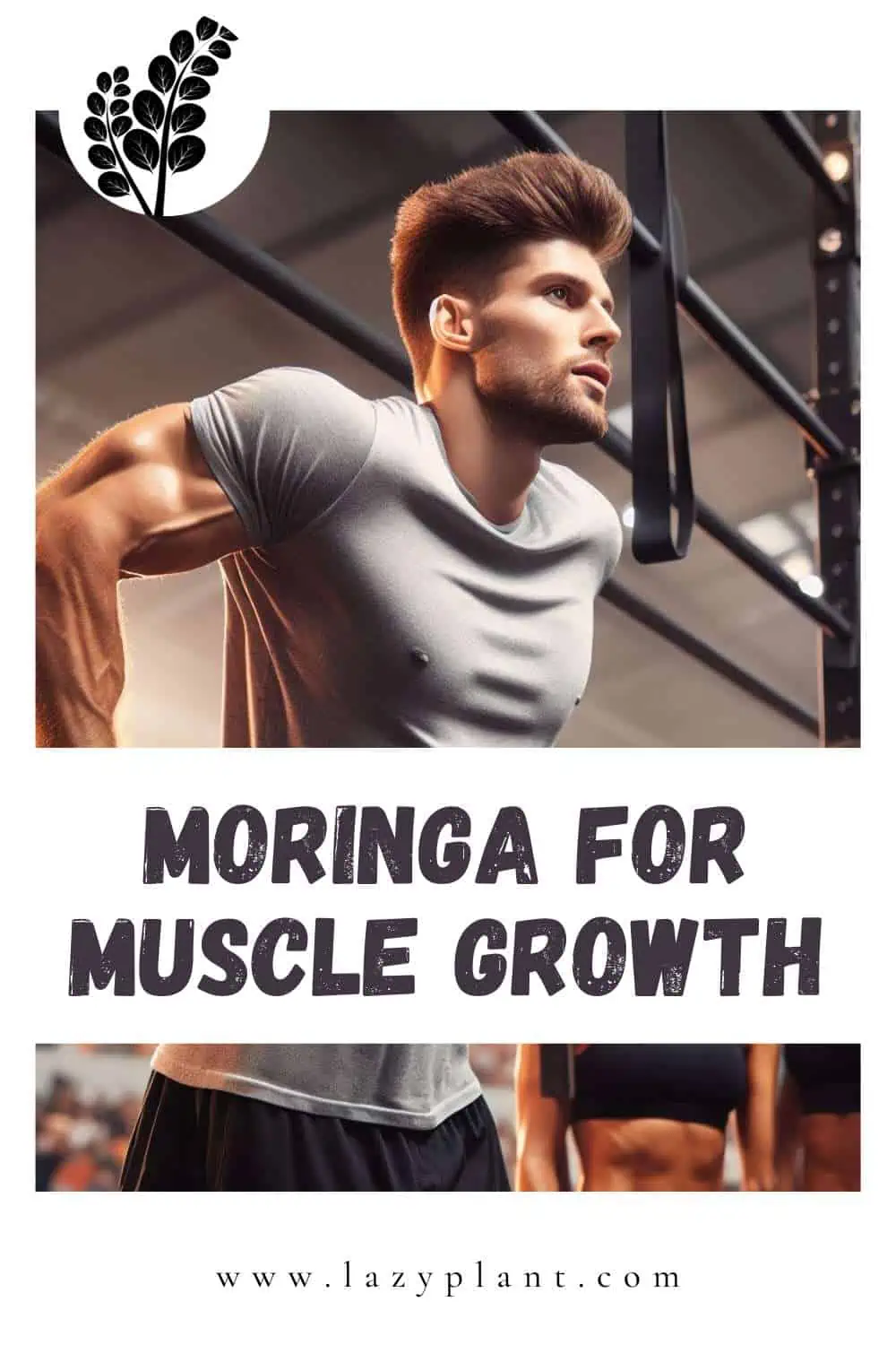 Moringa: the best supplement for athletes.