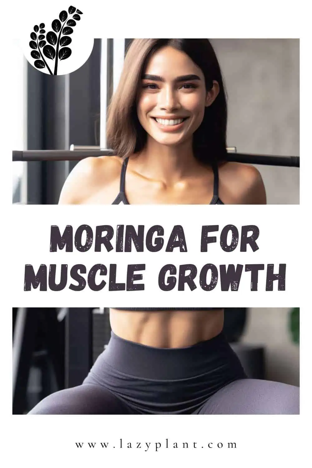 Moringa powder for muscle growth!