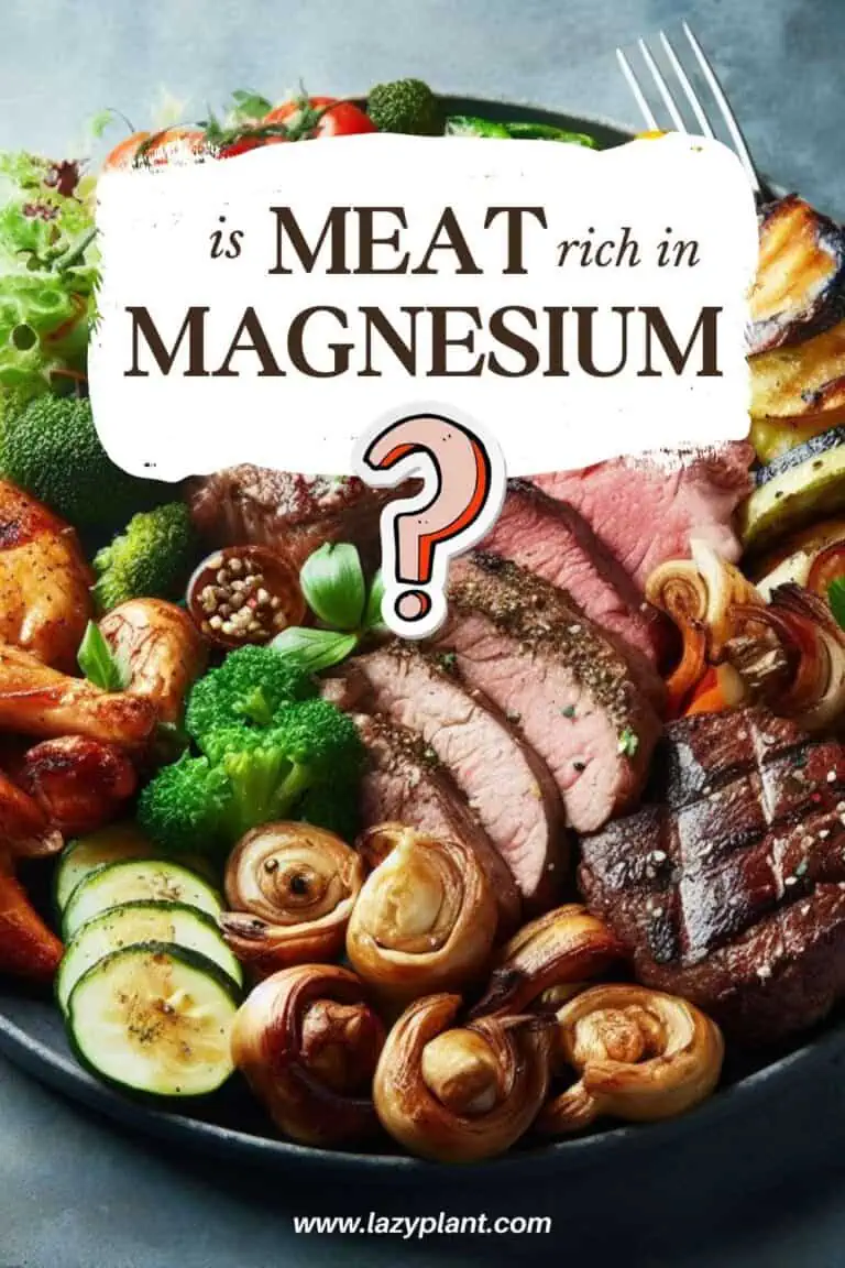 Magnesium in beef, chicken, pork & other meats LazyPlant