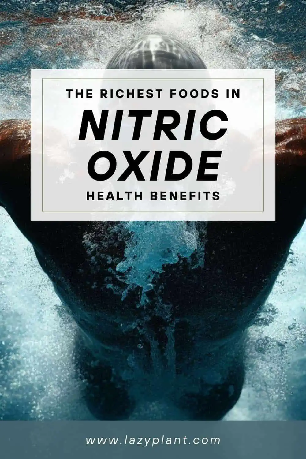 The richest foods in nitrates that athletes should eat daily