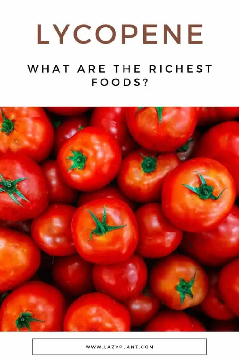How much lycopene in tomato? LazyPlant