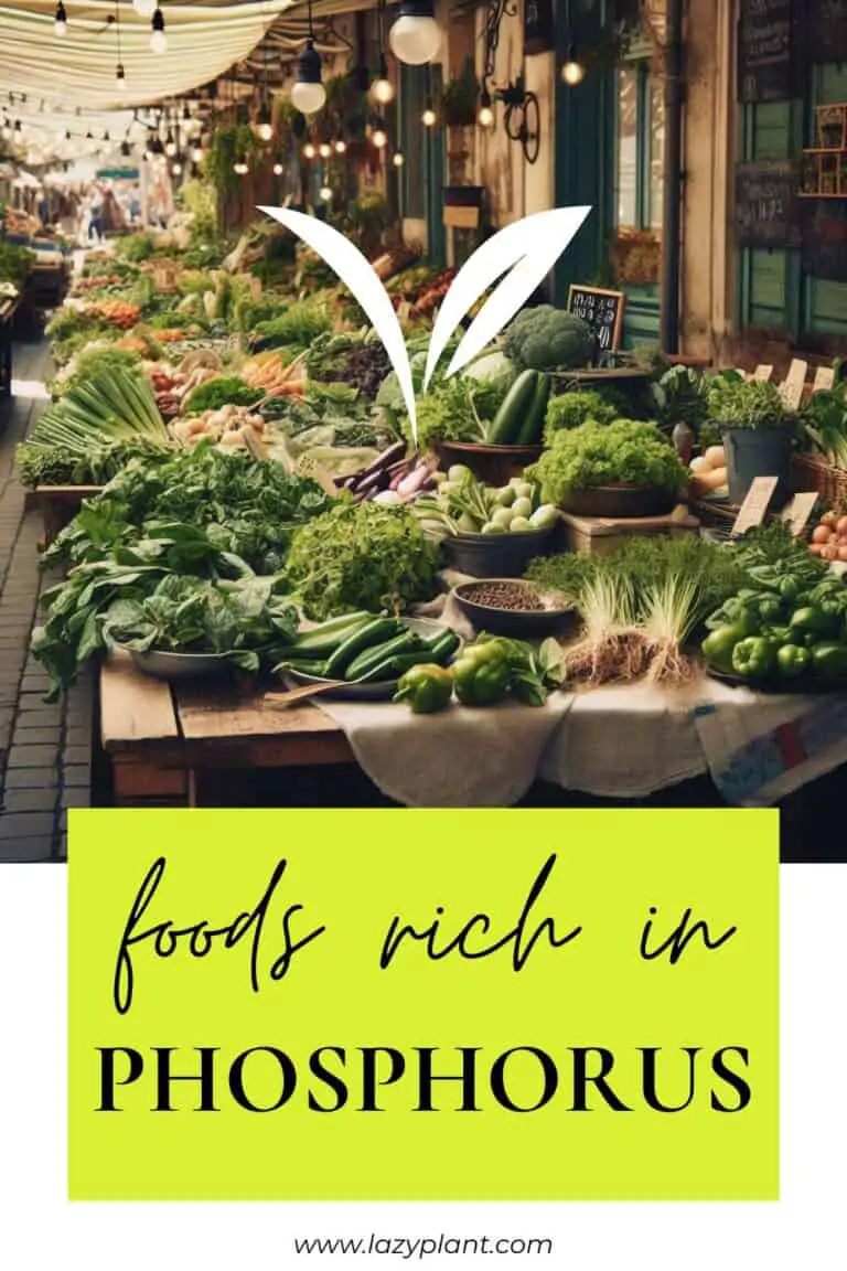 Phosphorus for Weight Loss & Health