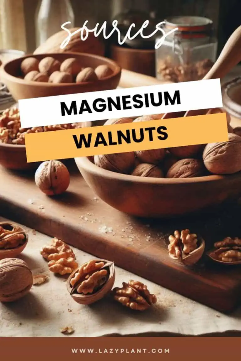 Walnuts have more Magnesium than other nuts LazyPlant