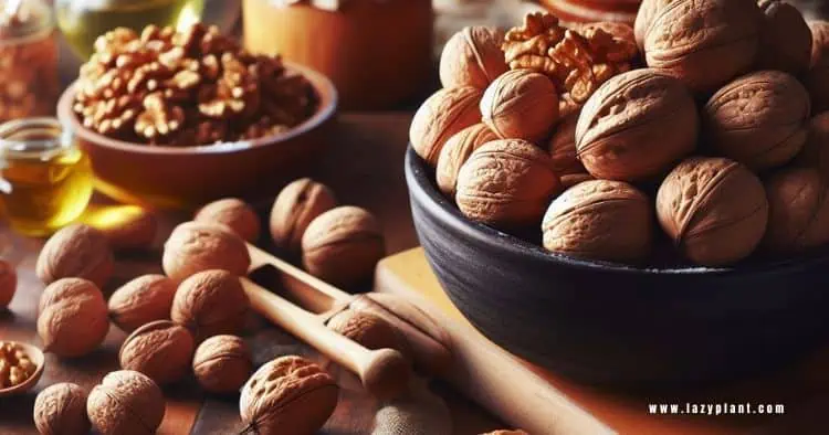 Walnuts are among the richest vegan foods in magnesium.