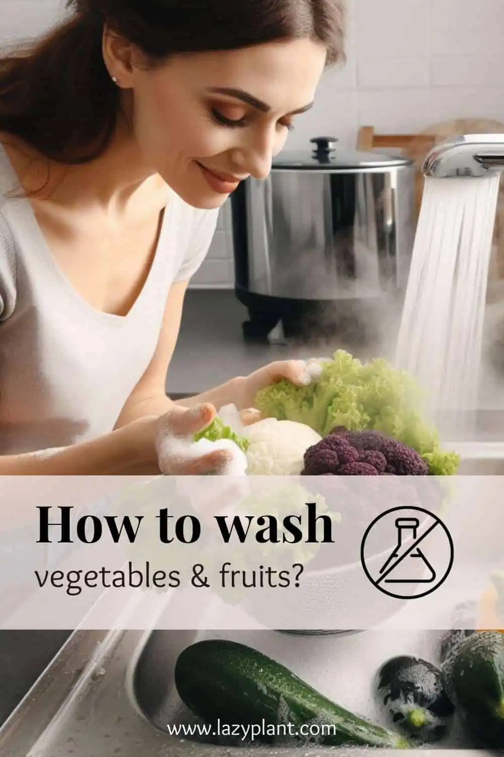 How to use vegetables & fruits without chemicals?