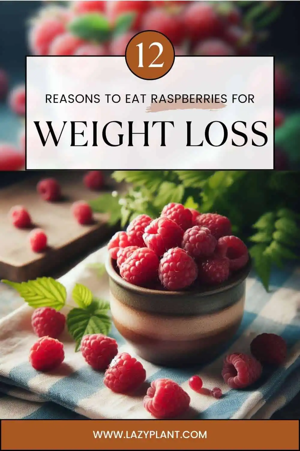 12 reasons to eat Raspberries for Weight Loss!