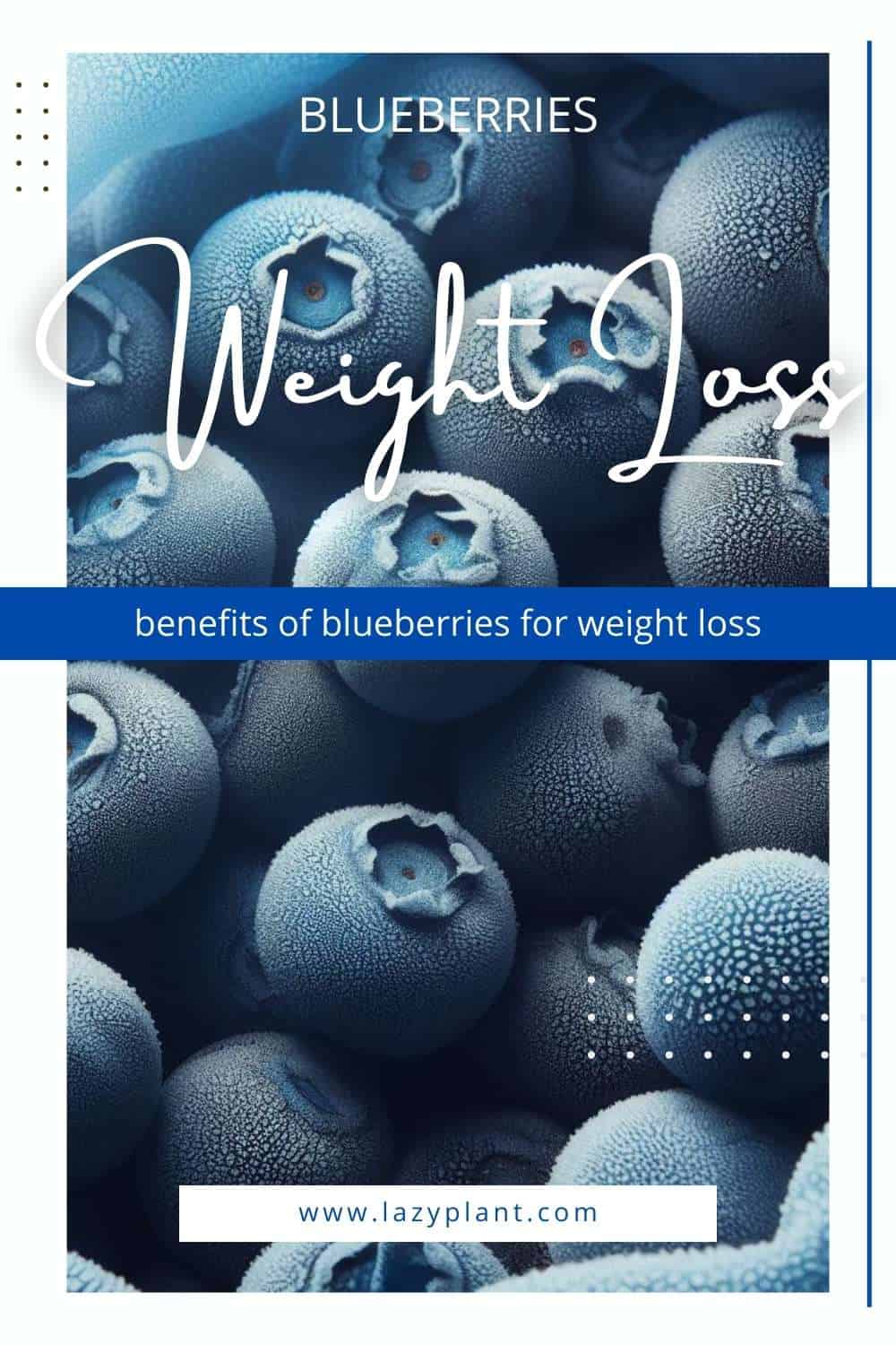 Benefits of blueberries for Weight Loss.