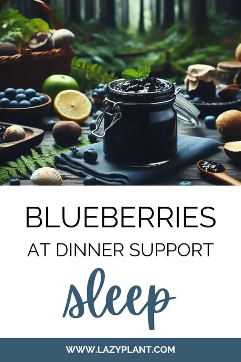 Raw blueberries before bed aid in sleep quality LazyPlant