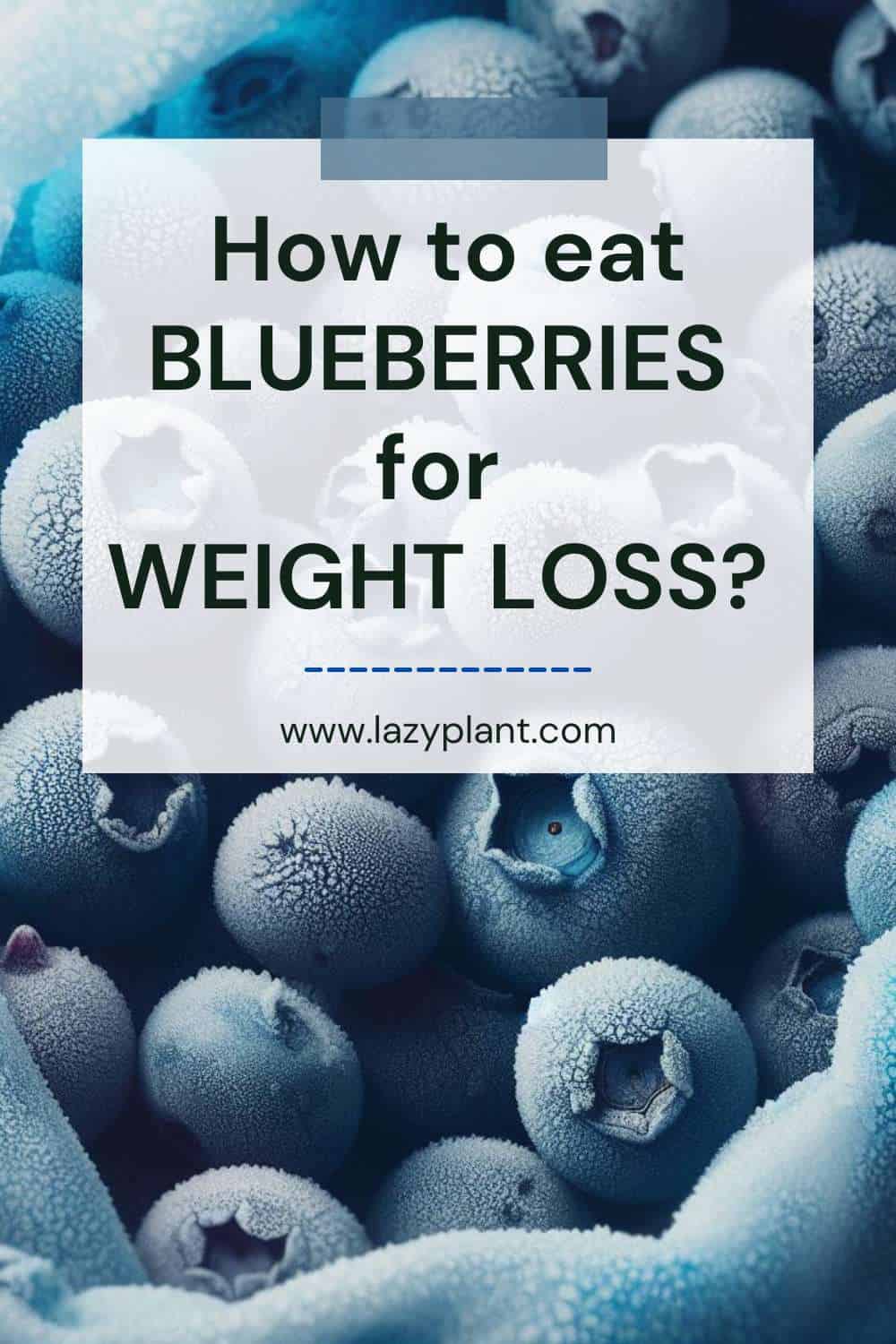 How to eat Blueberries as a healthy snack for Weight Loss?