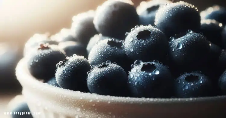 Raw blueberries are good for Weight Loss.