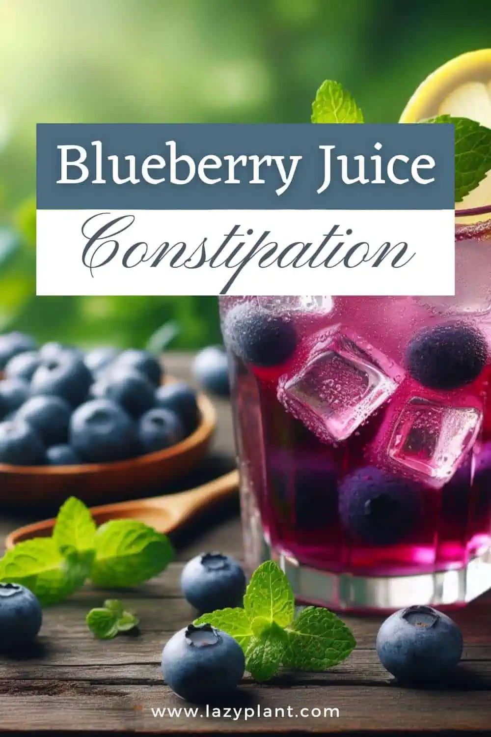 Can Blueberry juice relieve constipation?