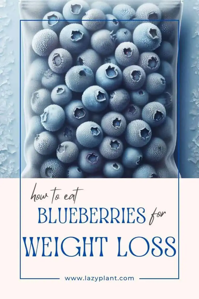 How to eat blueberries for weight loss? LazyPlant