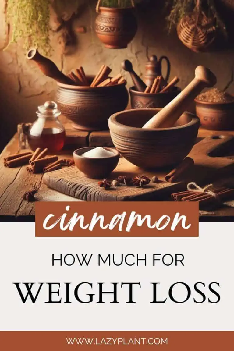 8 benefits of Cinnamon for Weight Loss! LazyPlant