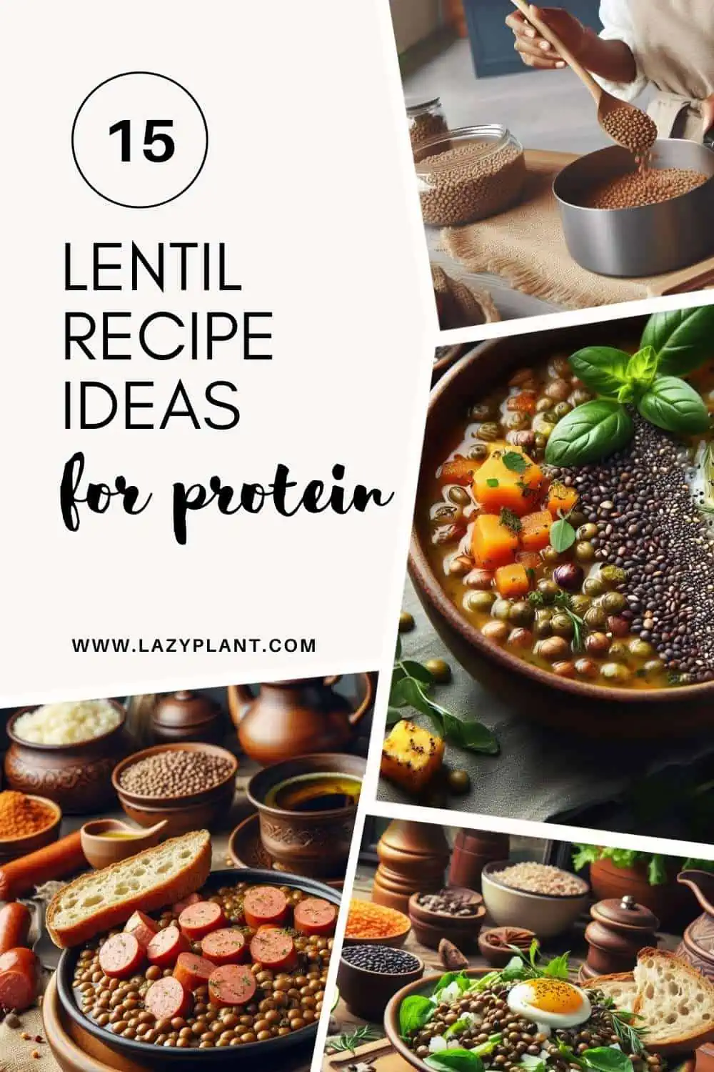 Recipe Ideas with Lentils for protein!