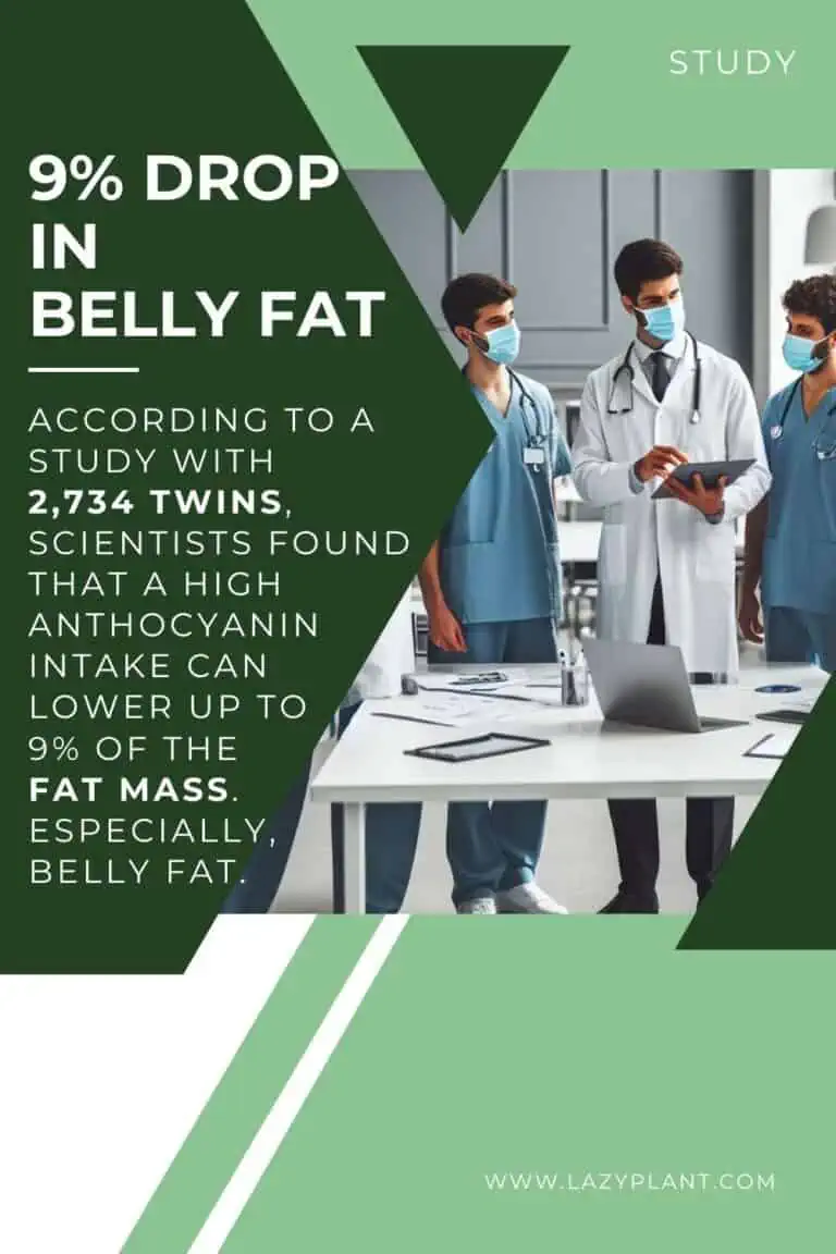 How to eat blueberries for weight loss? LazyPlant