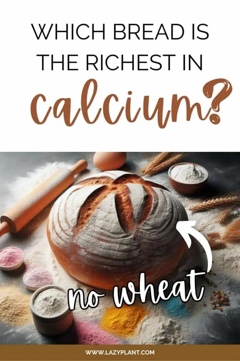 Which is the richest bread in calcium? LazyPlant