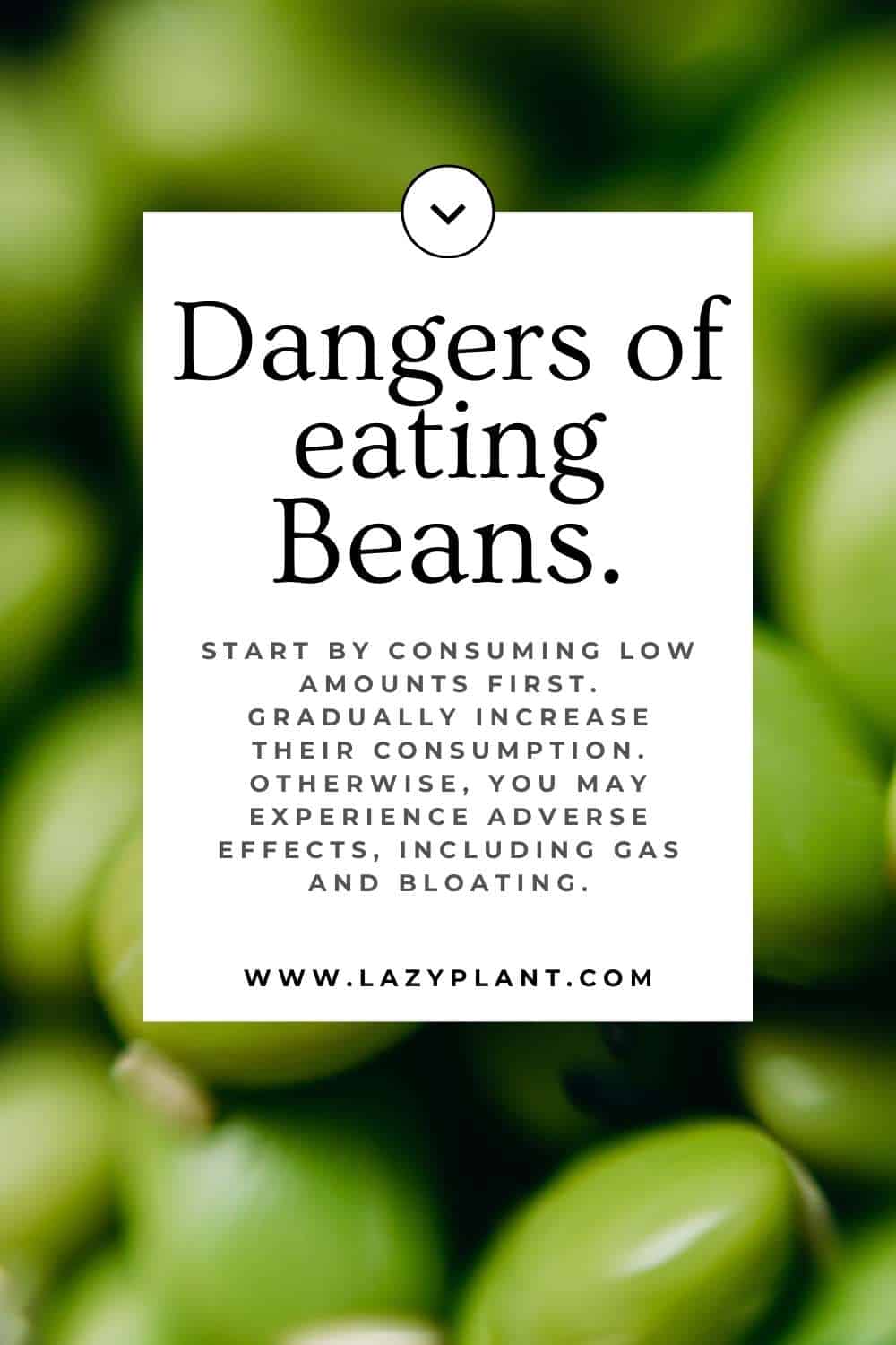 Dangers of eating Beans.