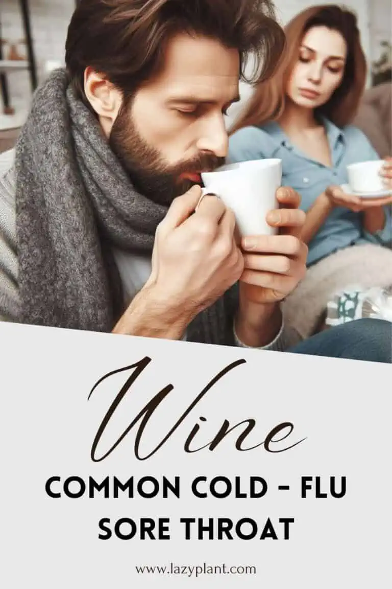 Wine has surprising benefits for the flu, common cold & sore throat LazyPlant
