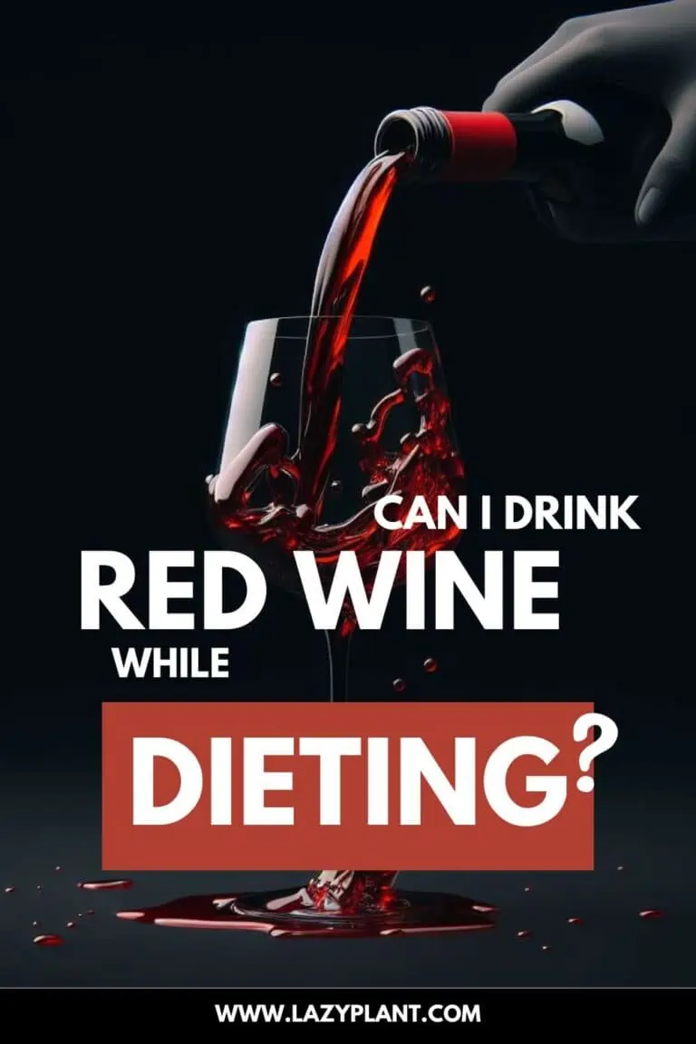 Can I drink Wine on a Diet? LazyPlant