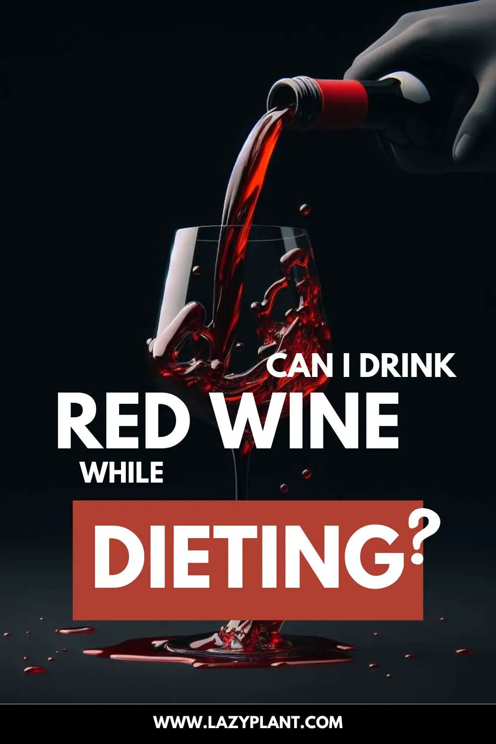 Diet tips: Can I drink Wine on a Diet?
