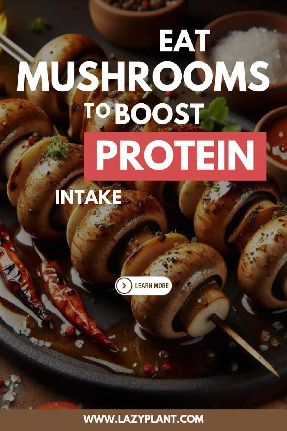 Mushrooms are excellent vegan Protein sources.