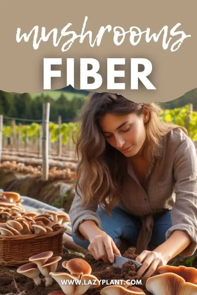 Are mushrooms high in fiber? LazyPlant