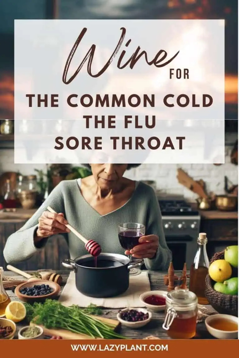 Wine has surprising benefits for the flu, common cold & sore throat LazyPlant