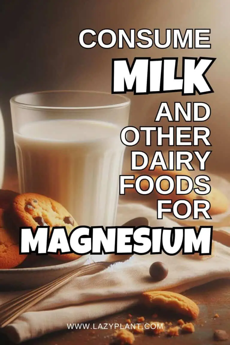 How much Magnesium is in Milk & other Dairy? LazyPlant