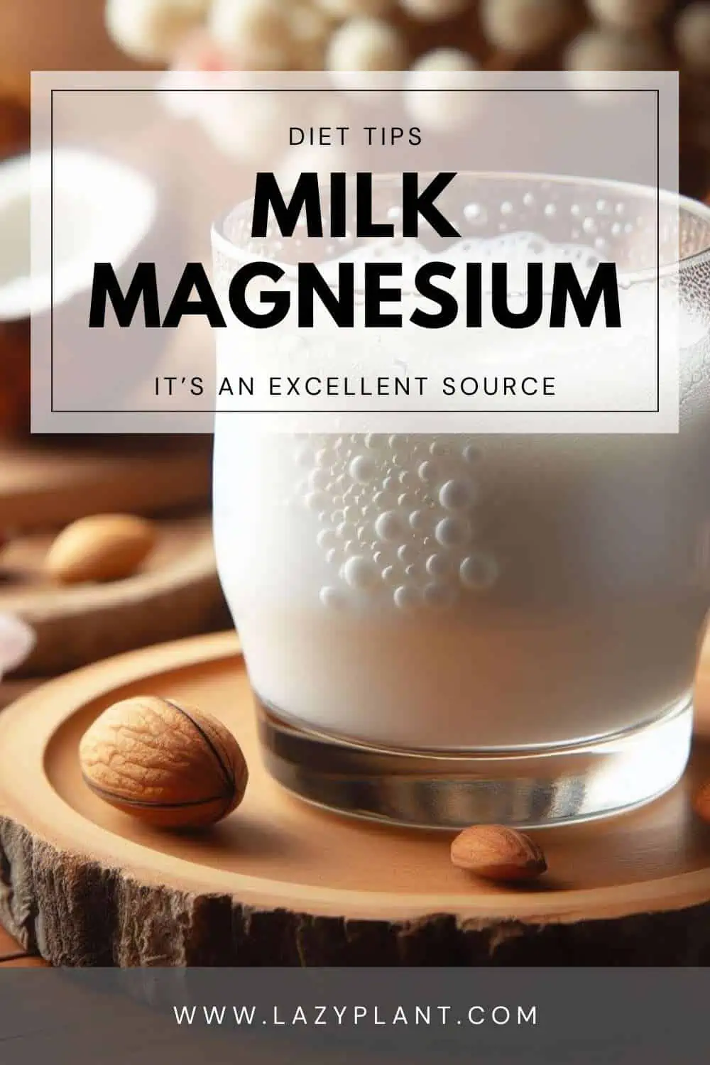 Magnesium concentrations in dairy