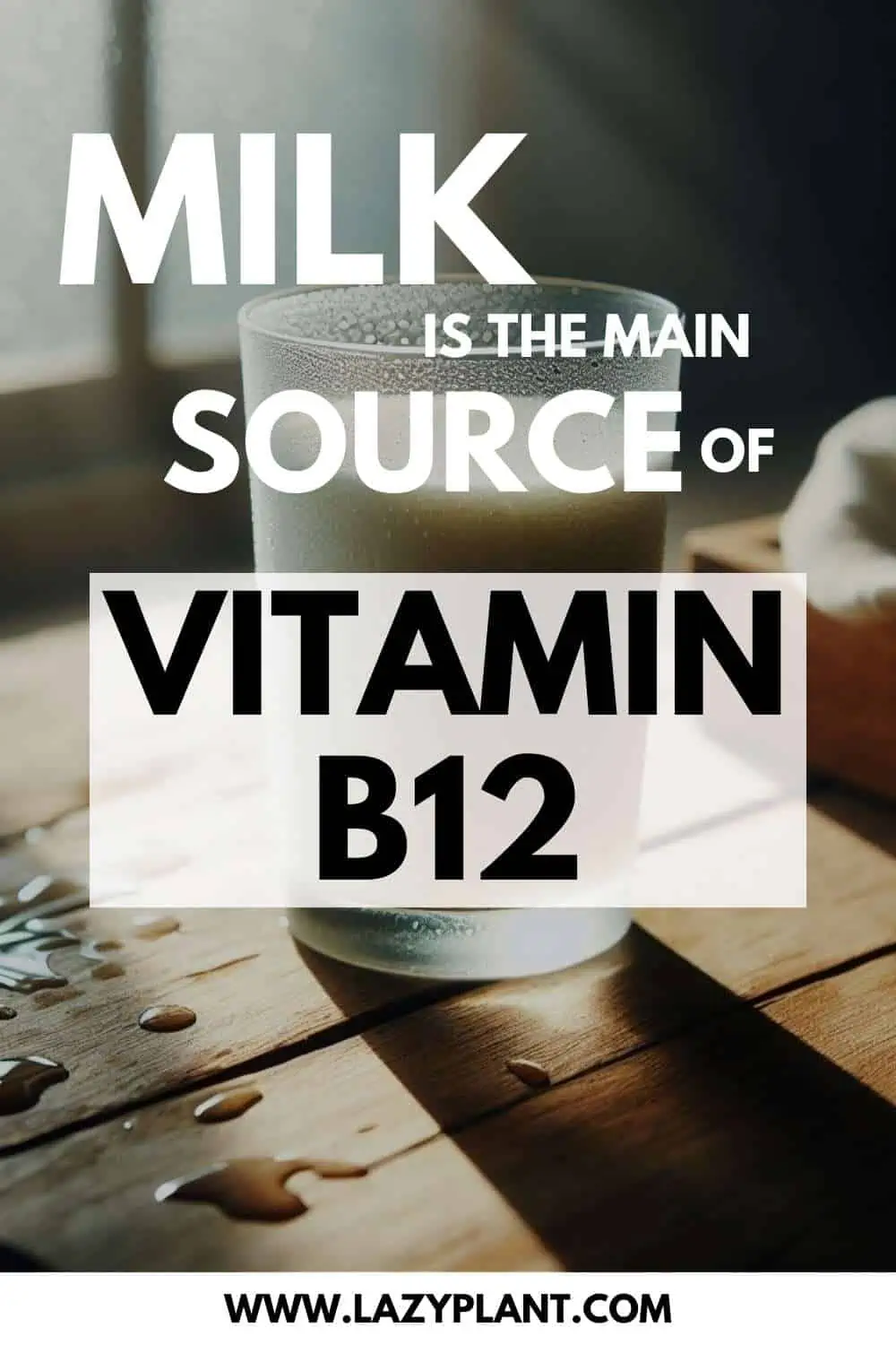 Milk: The richest natural source of Vitamin B12.