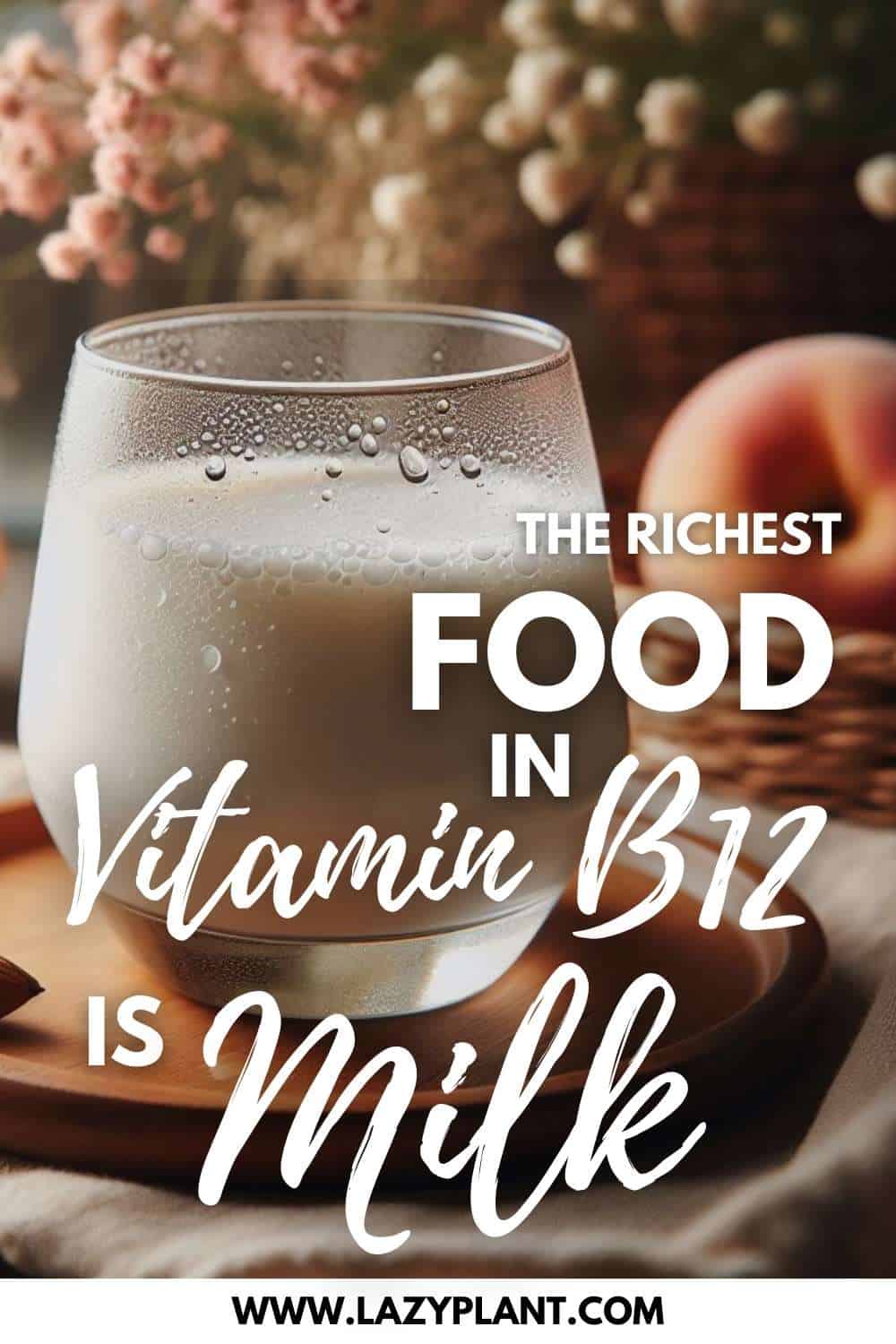 Milk & most dairy products are the richest foods in Vitamin B12.