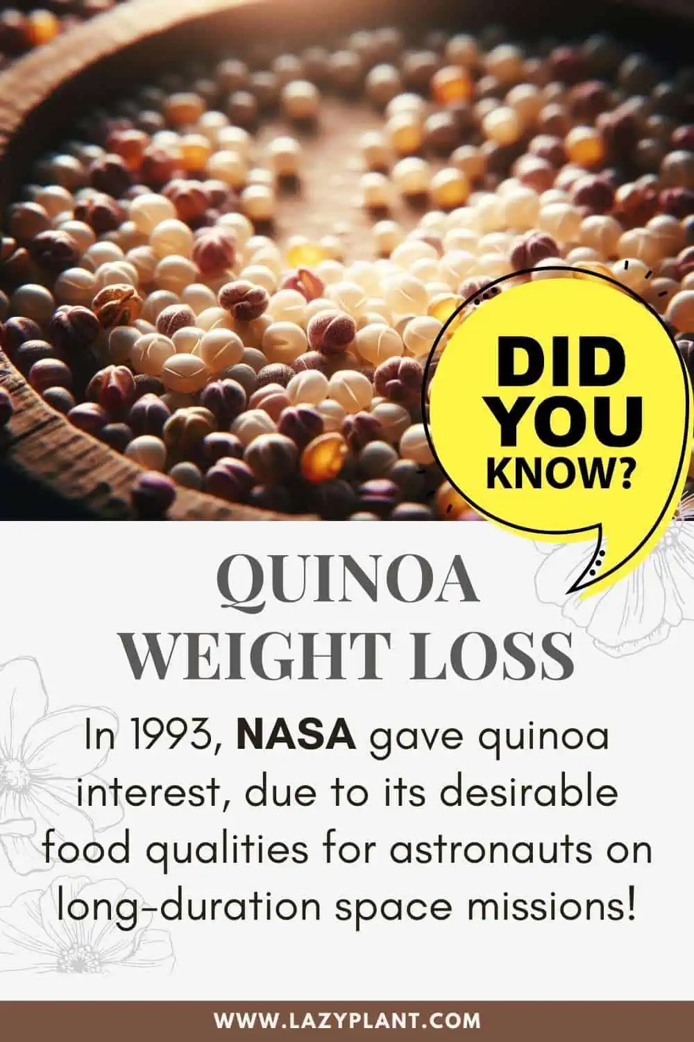 NASA gave quinoa interest, due to its desirable food qualities for astronauts on long-duration space missions!