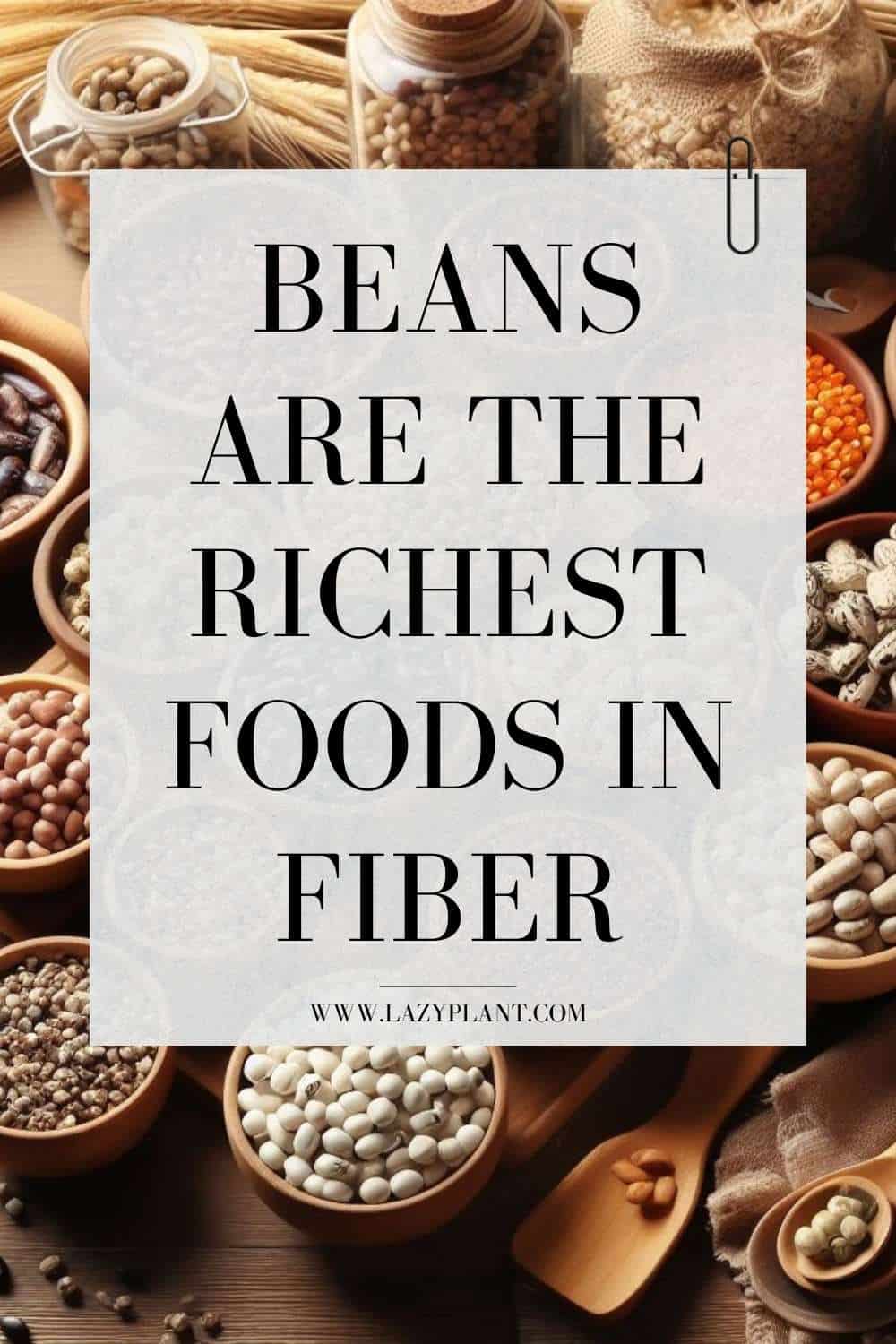 Beans are the richest foods in Fiber.